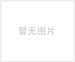 美国派克Parker无杆气缸